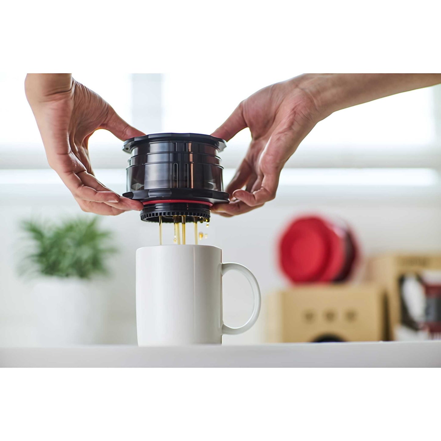 Cafflano Kompact Coffee Press
