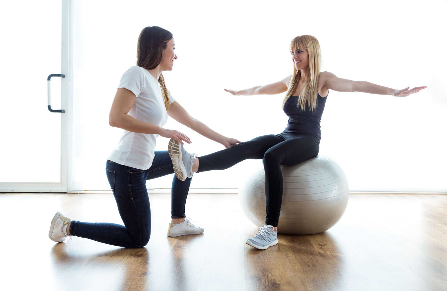 Pro Series Exercise Ball, Pump Included, Available in 55, 65 & 75 cm