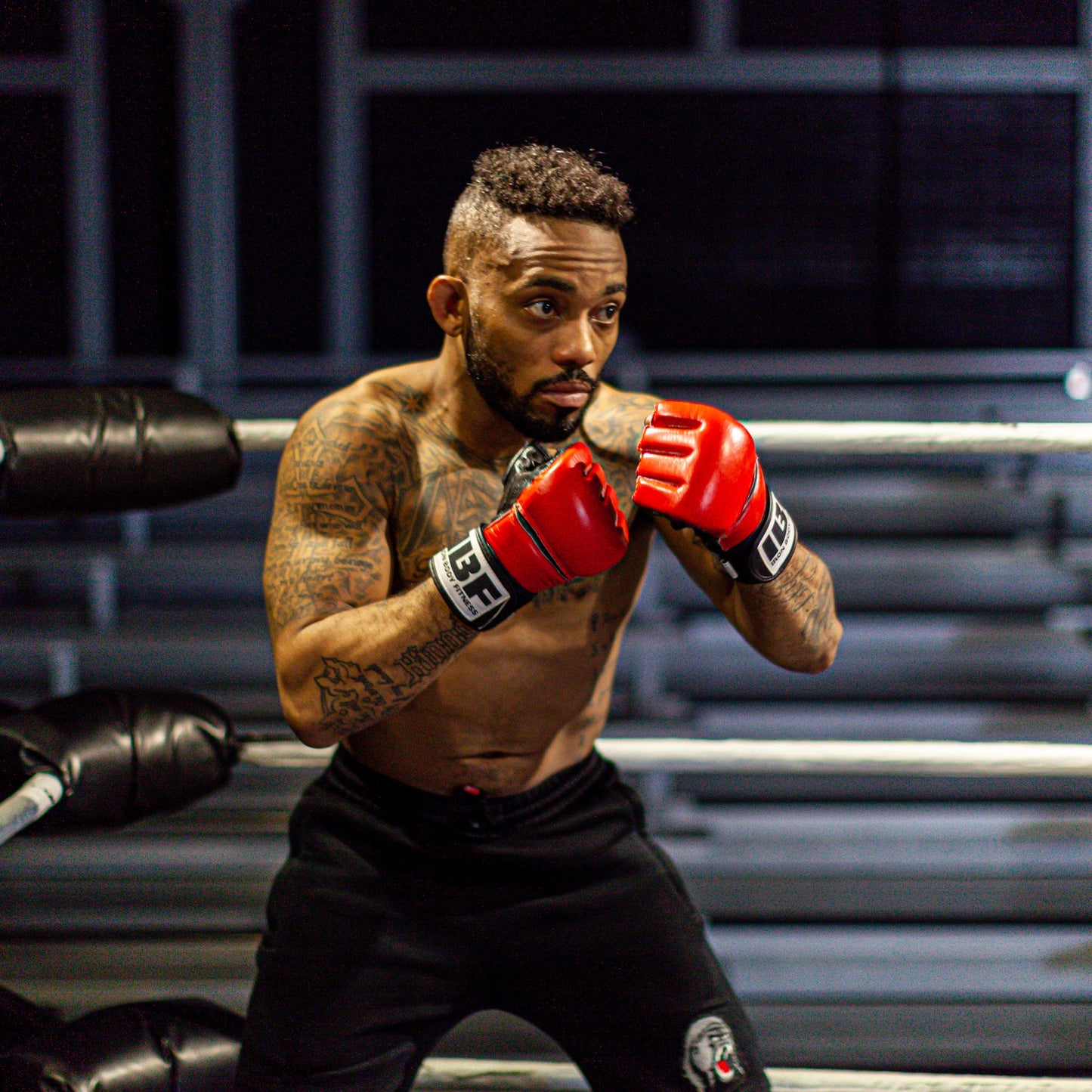 IBF Cage Pro MMA Gloves, UFC style