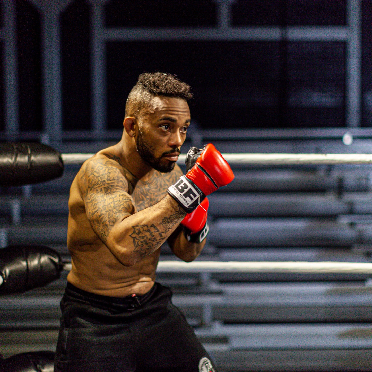 IBF Cage Pro MMA Gloves, UFC style