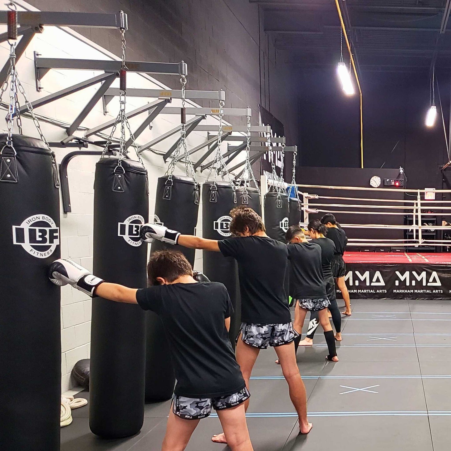 IBF Heavy Bags - Commercial-Grade Punching Bags