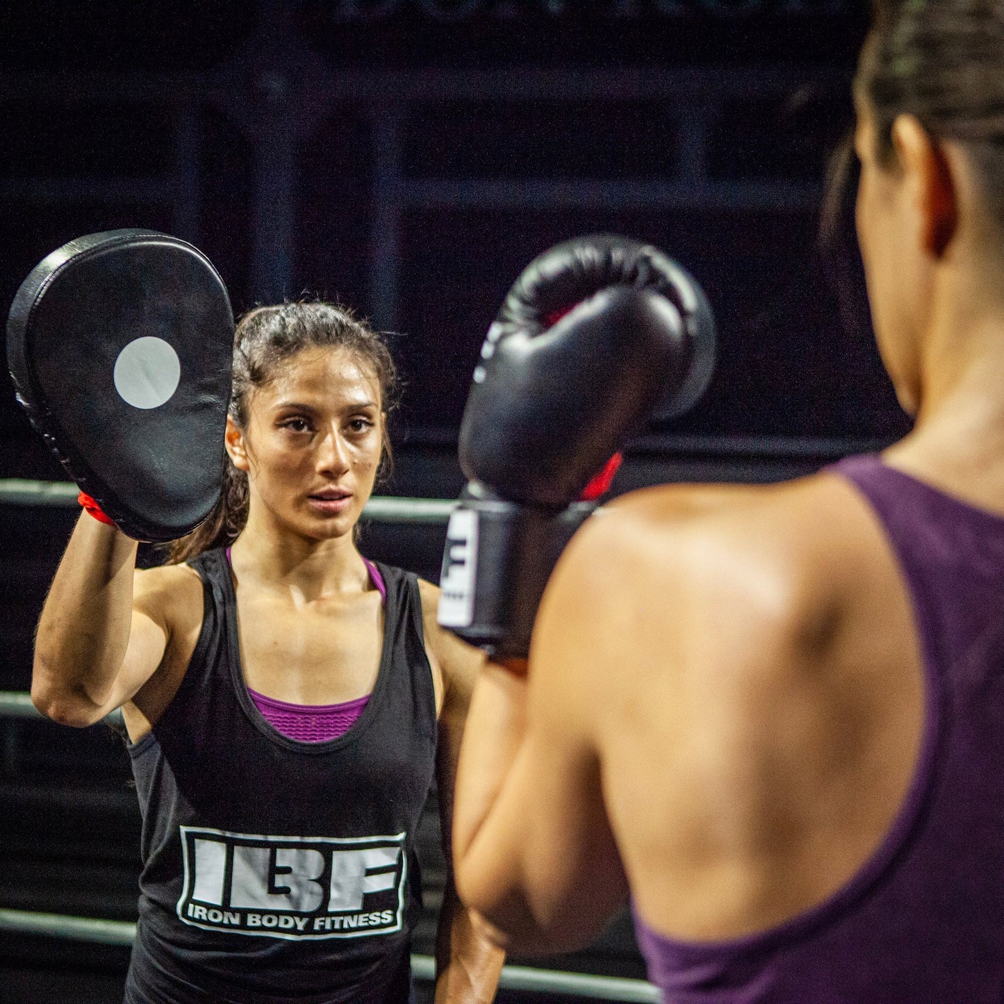 IBF Pro Focus Pads, Short