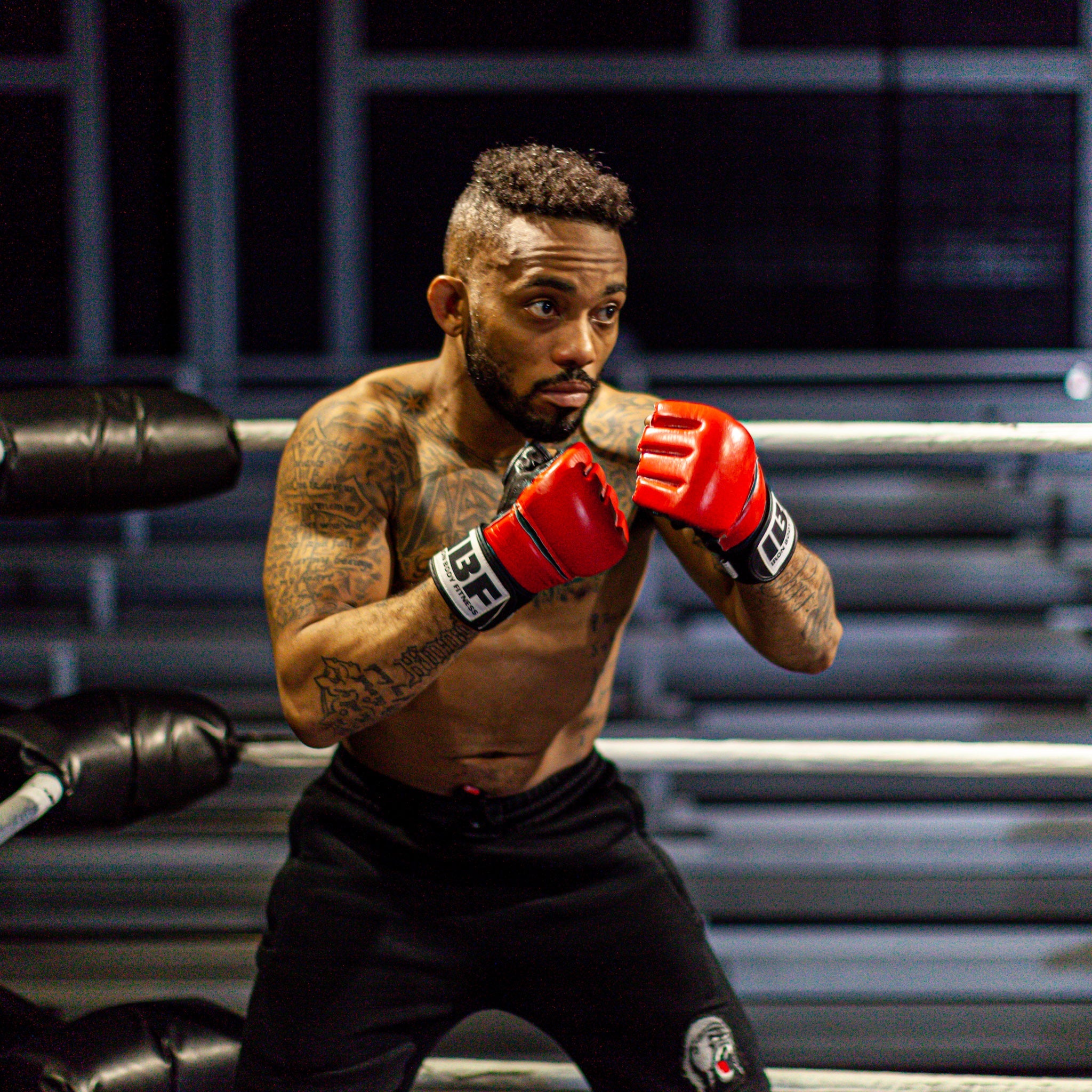 Mma style gloves shop