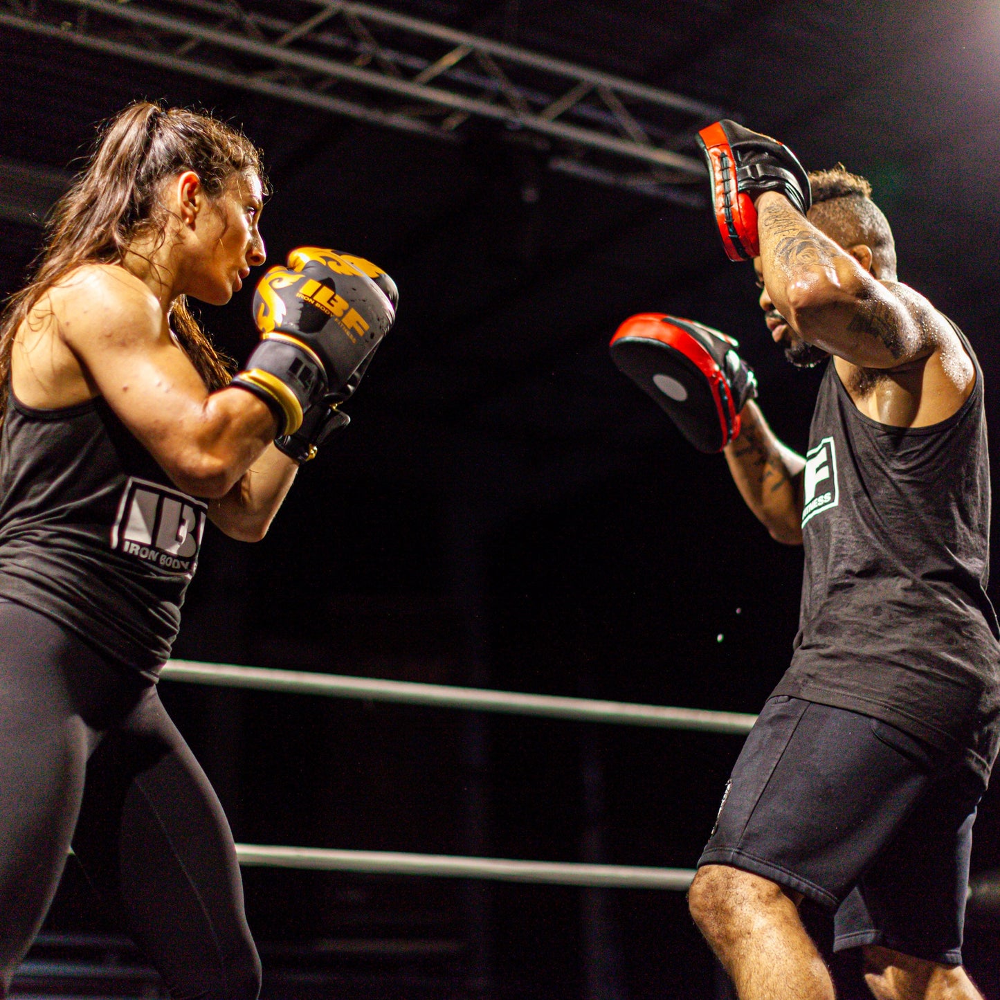 IBF Premium Focus Pads